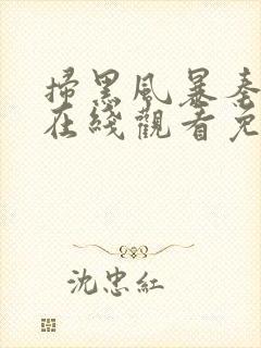 扫黑风暴秦昊版在线观看免费完整版