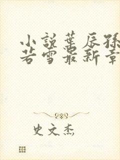 小说叶辰孙怡夏若雪最新章节阅读