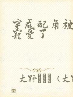 穿成配角被王子宠爱了