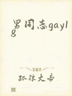 男同志gay18