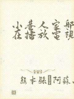 小巷人家哪个台在播放电视剧