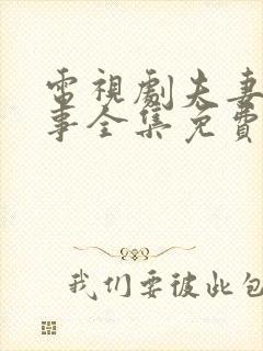 电视剧夫妻那些事全集免费播放