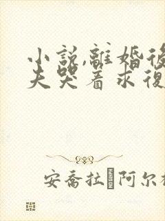 小说,离婚后前夫哭着求复婚封面