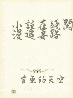 小说在线阅读漫漫追妻路