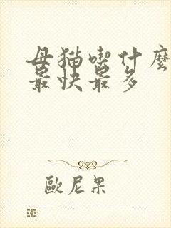 母猫吃什么下奶最快最多