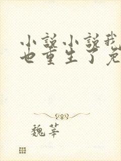 小说小说我老婆也重生了免费阅读封面