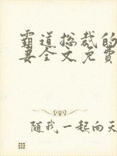 霸道总裁的小娇妻全文免费阅读封面