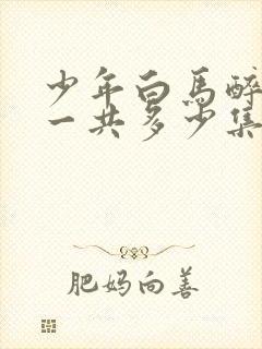 少年白马醉春风一共多少集封面