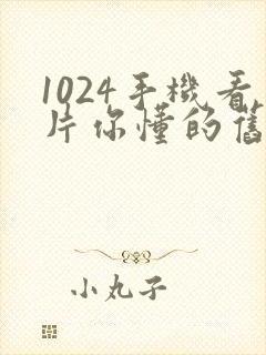 1024手机看片你懂的旧版