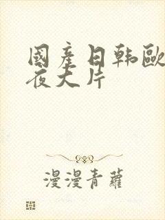 国产日韩欧美午夜大片封面