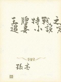 王牌特战之权少追妻 小说完结了吗封面