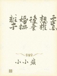 离婚后想要回孩子抚养权怎么办