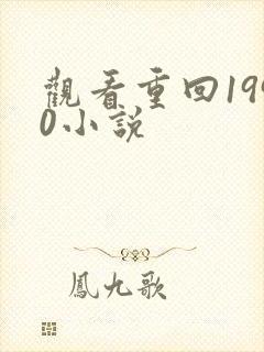 观看重回1990小说封面