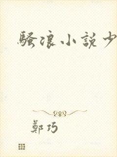 骚浪小说少妇封面