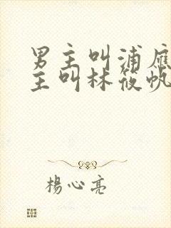 男主叫浦应辛女主叫林筱帆的小说