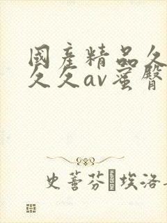 国产精品久久久久久av蜜臀