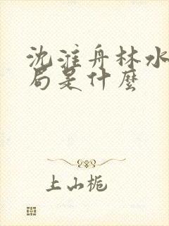 沈淮舟林水伊结局是什么封面