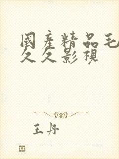 国产精品毛片久久久影视