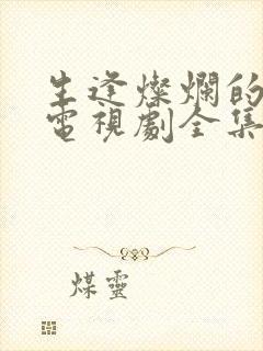 生逢灿烂的日子电视剧全集在线观看