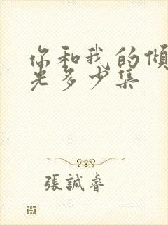 你和我的倾城时光多少集