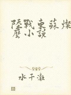 陆战东苏灿是什么小说