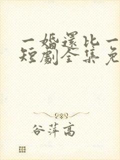 一婚还比一婚高短剧全集免费观看封面