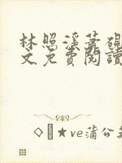 林照溪萧砚川全文免费阅读封面