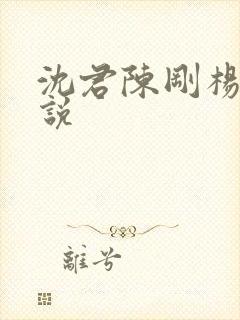 沈君陈刚杨静小说