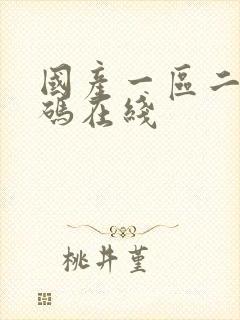 国产一区二区乱码在线