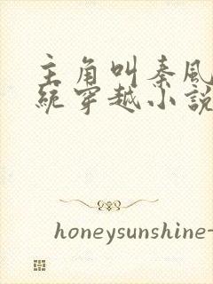 主角叫秦风的系统穿越小说