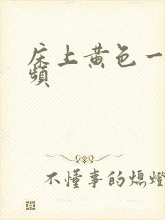 床上黄色一级视频