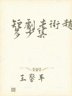 短剧老街赵凤声多少集