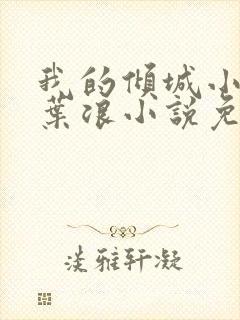 我的倾城小师姐叶浪小说免费阅读