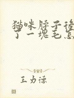 猫咪脖子后面掉了一块毛怎么回事封面