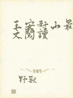 王安赶山最新全文阅读封面