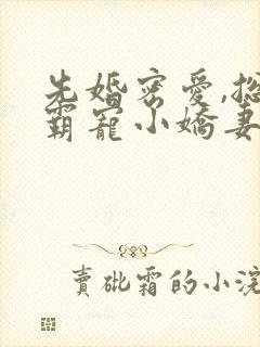 先婚密爱,总裁霸宠小娇妻 吉祥夜