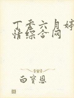 丁香六月婷婷激情综合网封面