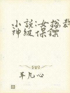 小说:女总裁的神级保镖