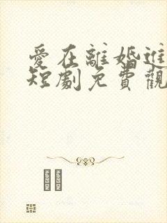 爱在离婚进行时短剧免费观看