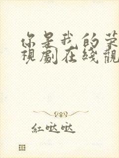 你是我的荣耀电视剧在线观看免费观看