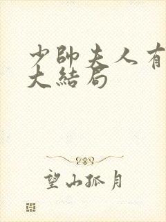 少帅夫人有点野大结局封面