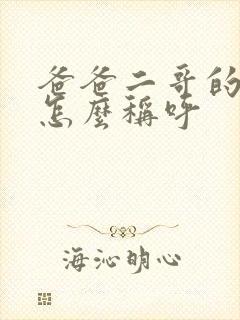 爸爸二哥的老婆怎么称呼