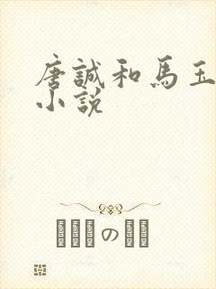 唐诚和马玉婷的小说