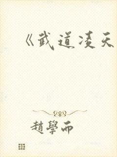 《武道凌天》封面