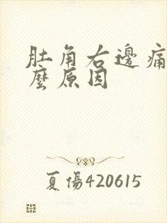 肚角右边痛是什么原因