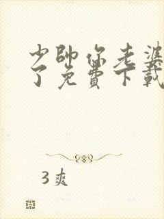 少帅你老婆又跑了免费下载txt封面