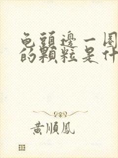 龟头边一圈白色的颗粒是什么