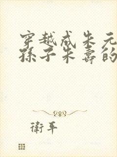 穿越成朱元璋的孙子朱寿的小说