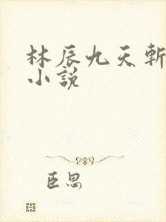 林辰九天斩神诀小说