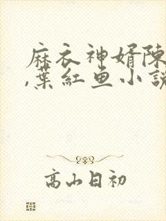 麻衣神婿陈黄皮,叶红鱼小说全文免费阅读